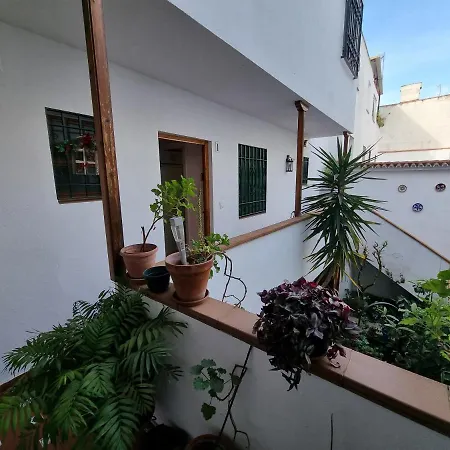 En Patio Cordobes San Basilio Córdoba