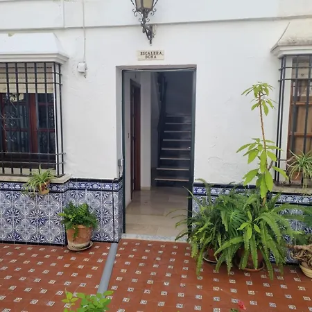 En Patio Cordobes San Basilio Córdoba