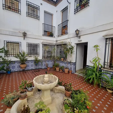 En Patio Cordobes San Basilio Córdoba